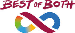 Digitale Spange Logo 